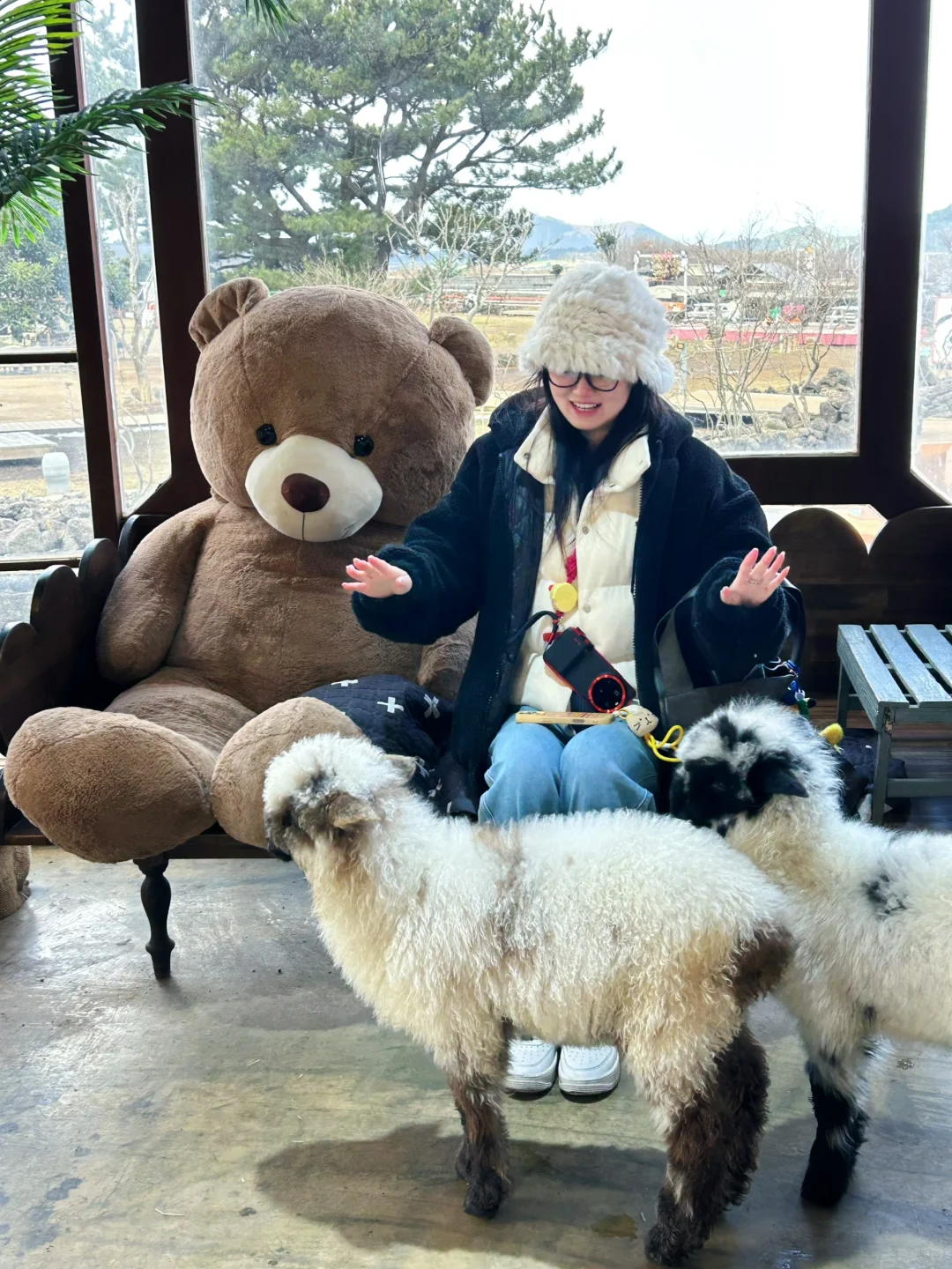 Jeju???ݵηѩռ