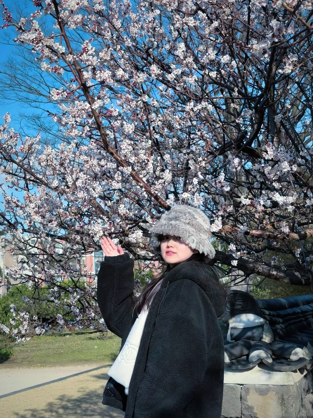 Jeju???ݵηѩռ