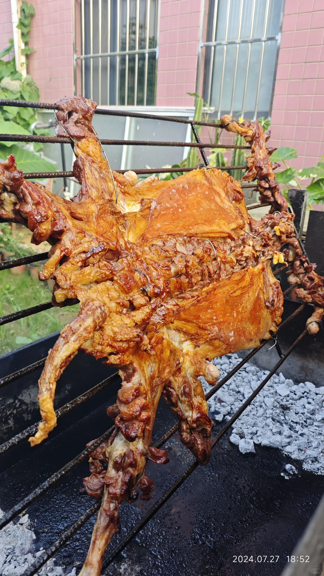 ڼСԺֻȫ