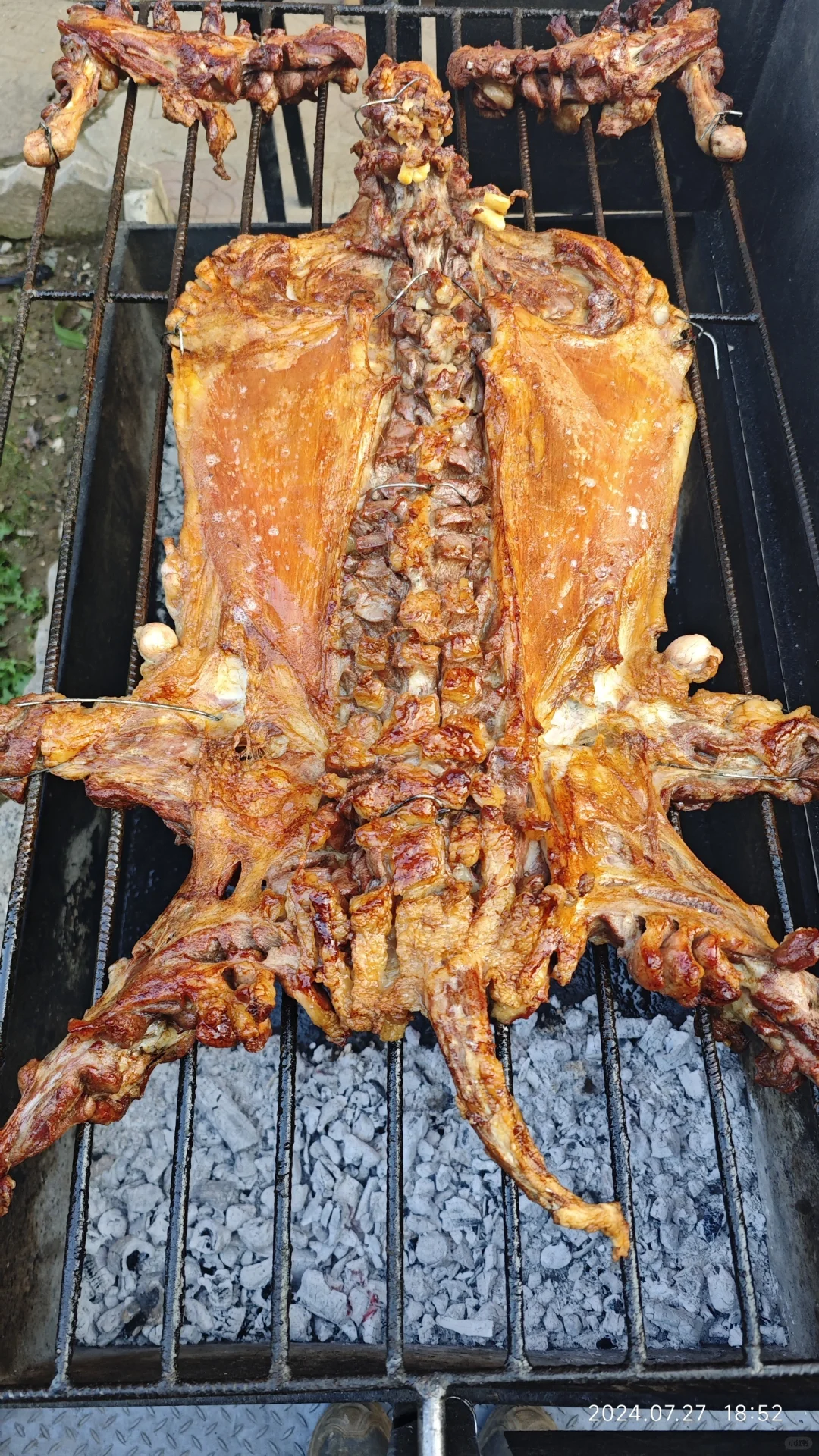 ڼСԺֻȫ