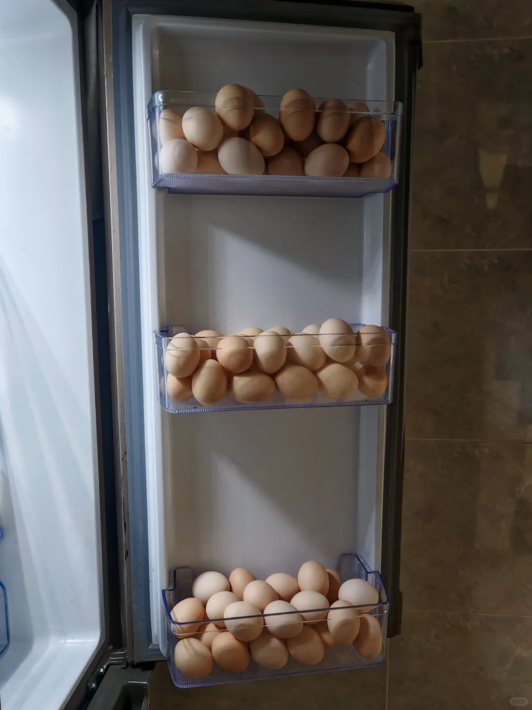 ԣRealizing the Freedom of Egg