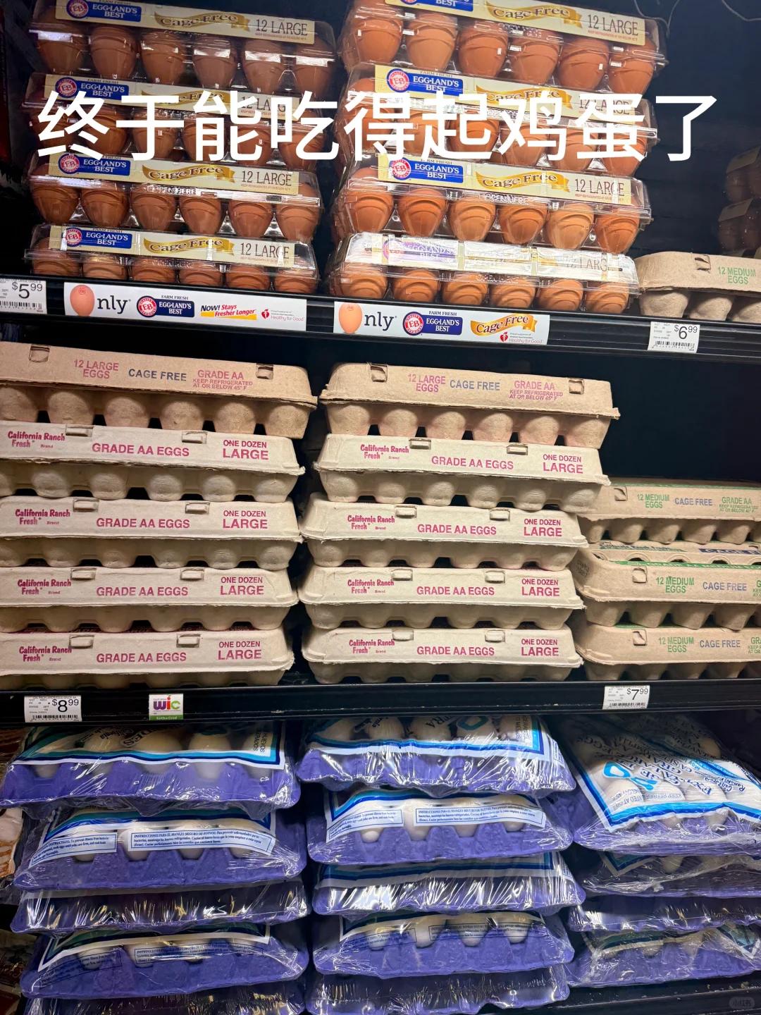 ۸ڻ