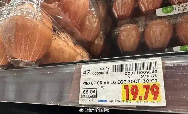 家人们谁懂啊！美国被一颗鸡蛋拿捏了?
