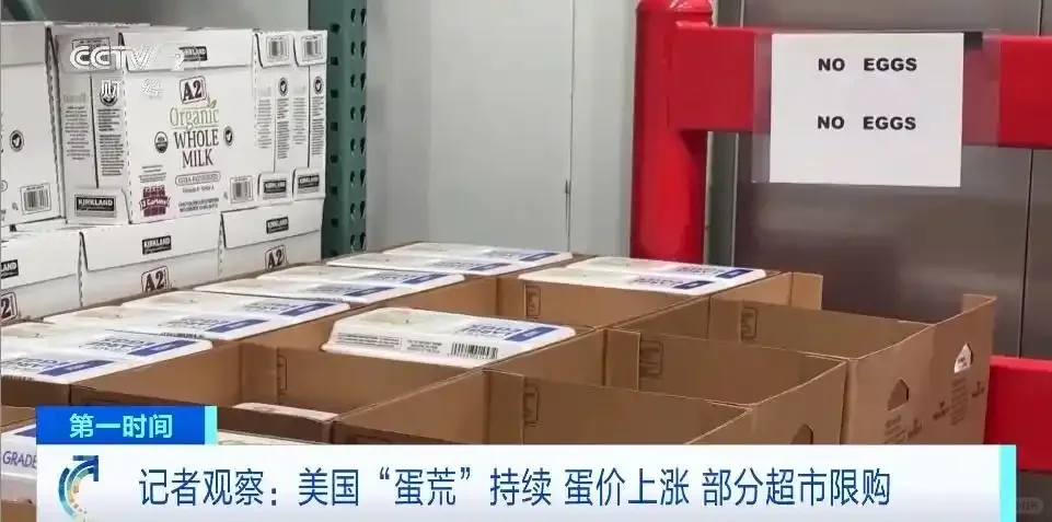 家人们谁懂啊！美国被一颗鸡蛋拿捏了?