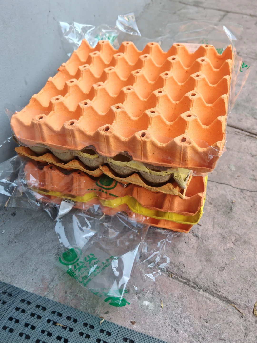 ԣRealizing the Freedom of Egg