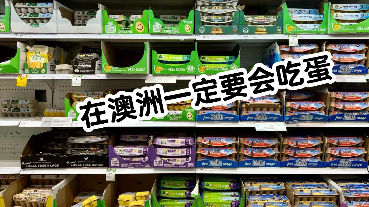 鲻ü û