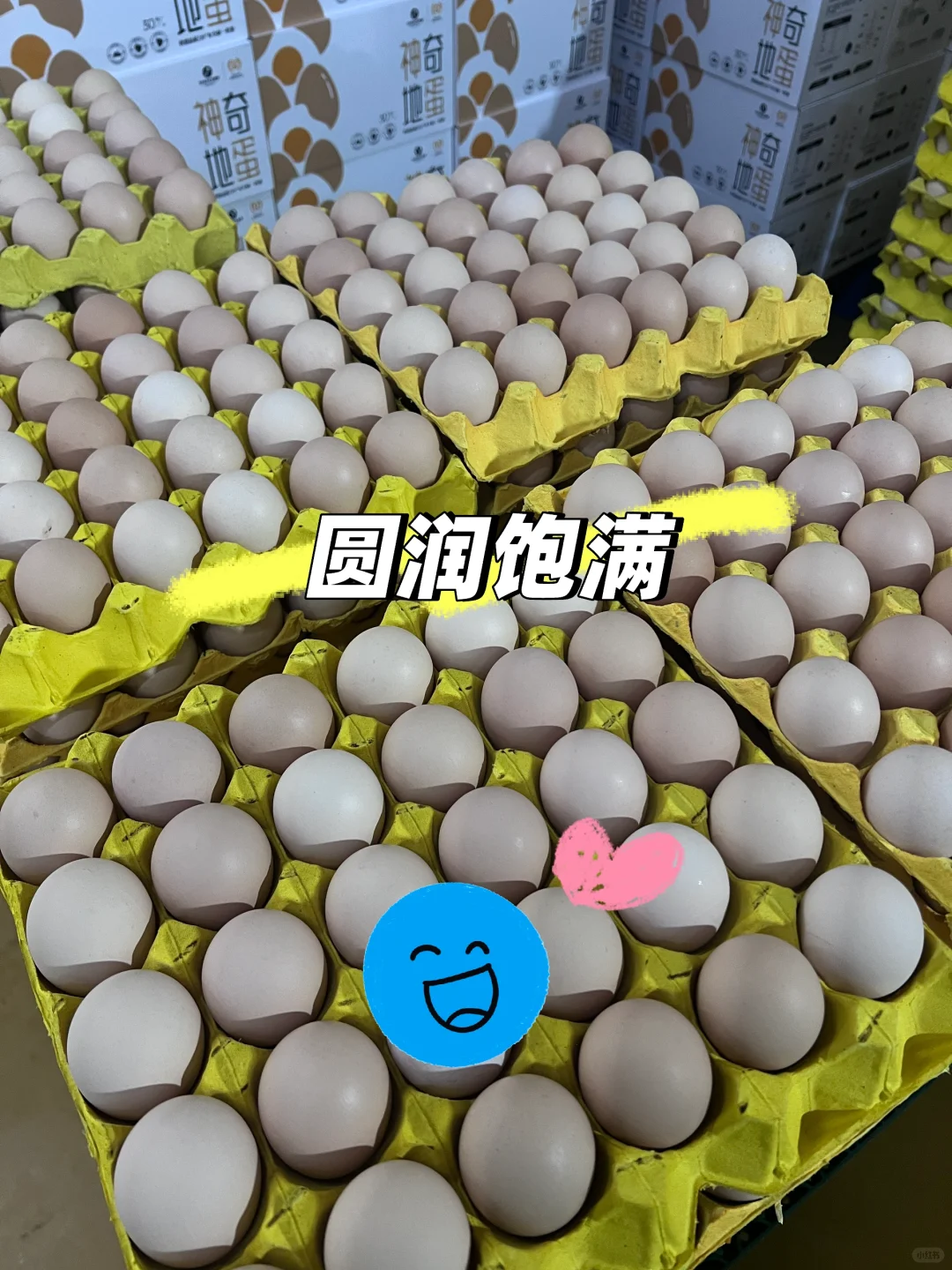 ̳ȫ̽ڼƼ𺳣