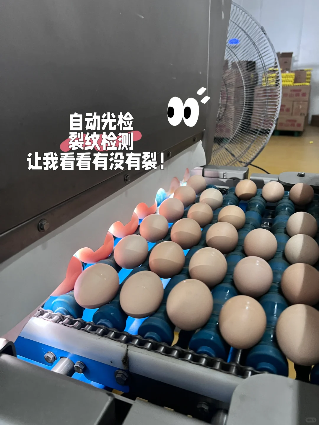 ̳ȫ̽ڼƼ𺳣