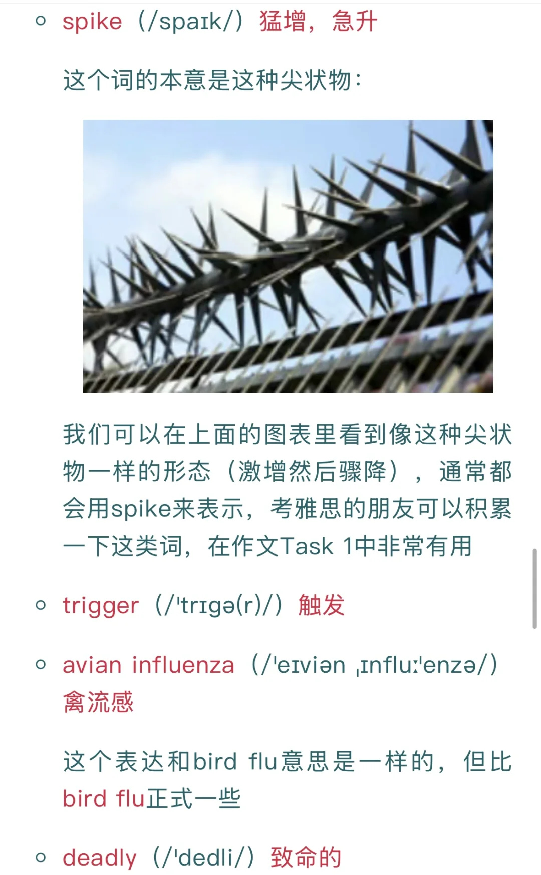 ۸ǣýЩؼ