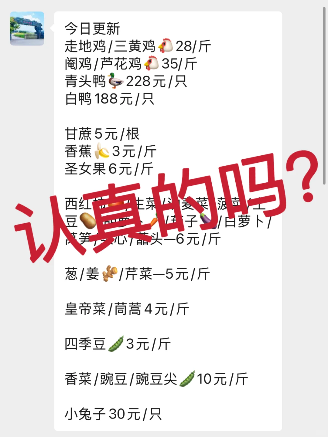 ڶݸ𡭡