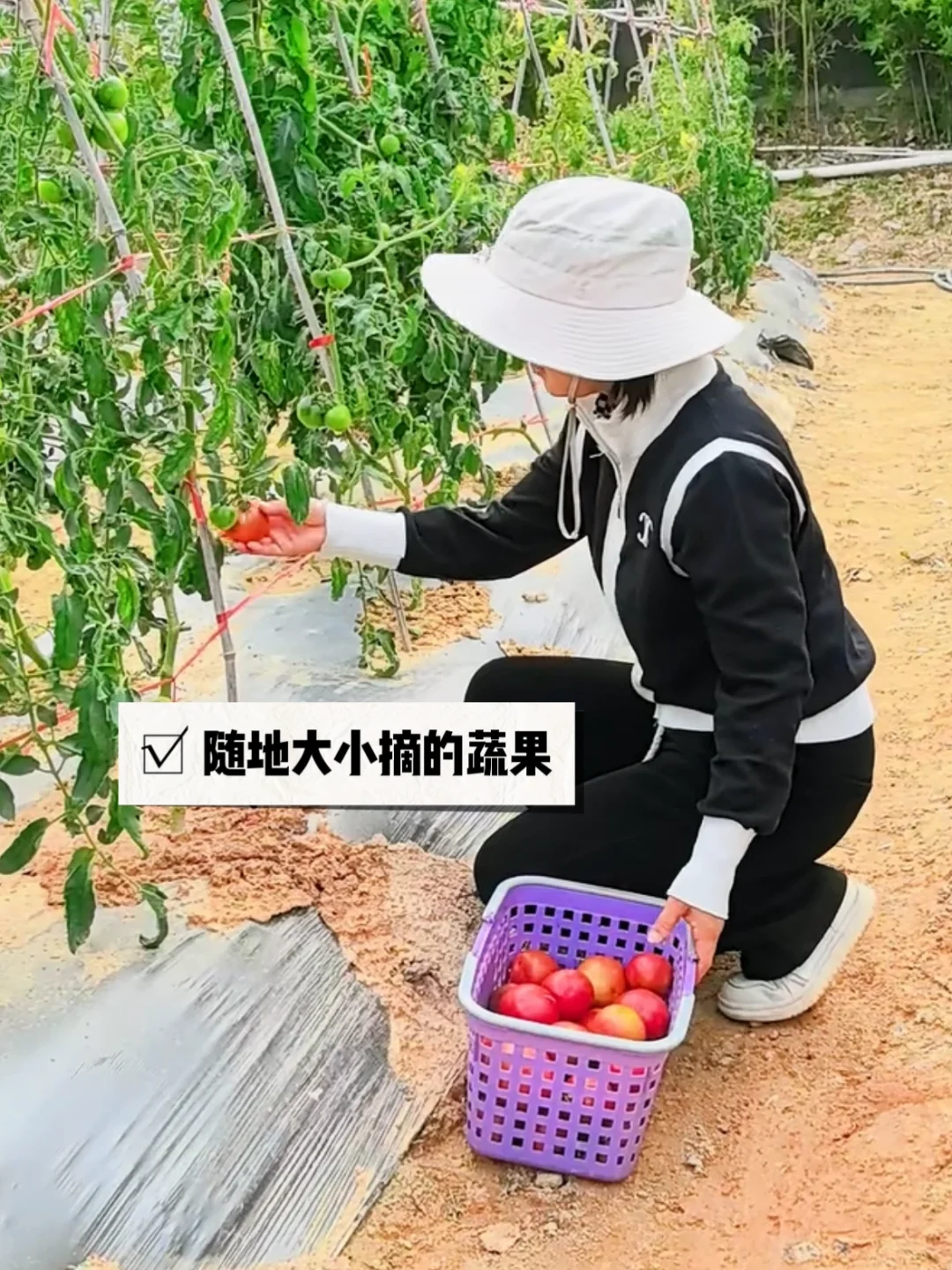 ڶݸ𡭡