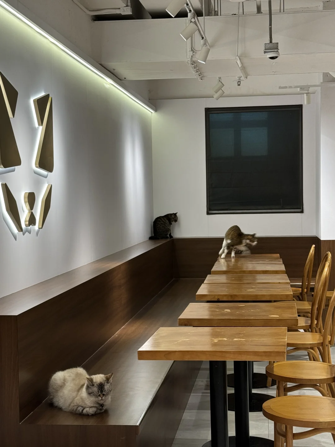??۲ޕrƽr؈cafe?óֺ