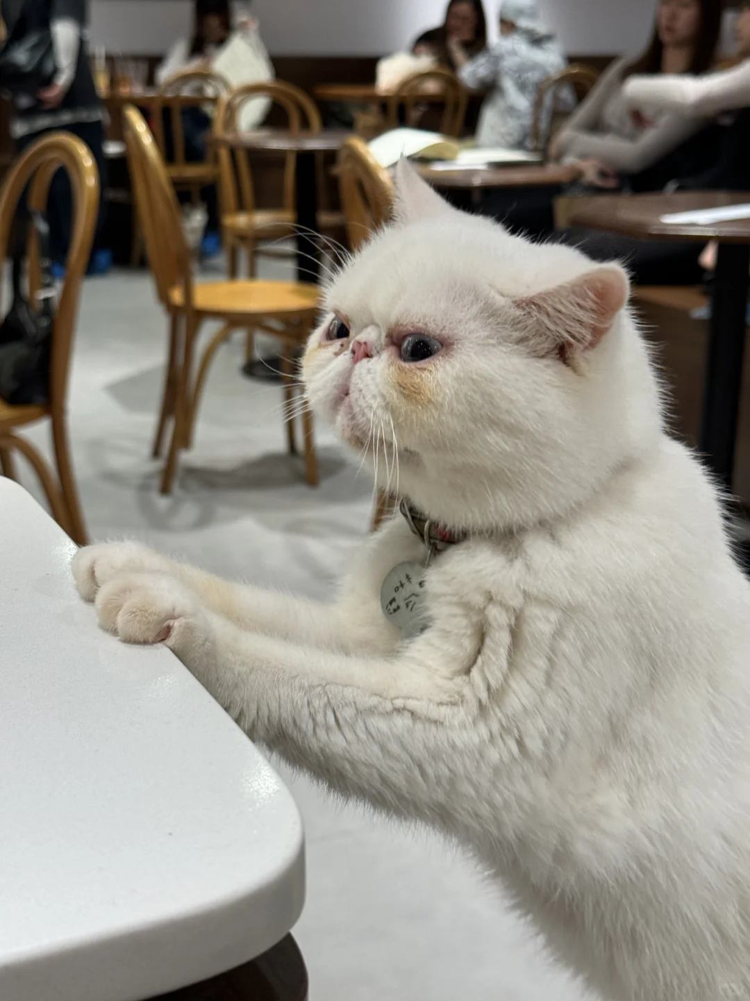 ??۲ޕrƽr؈cafe?óֺ