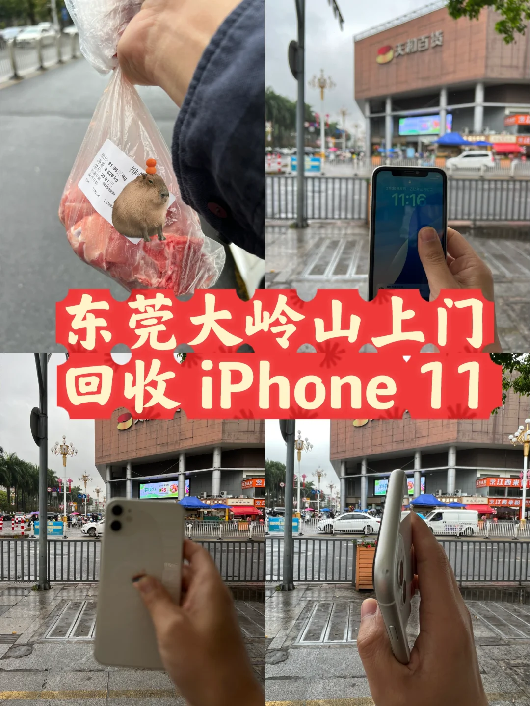 ɽŻհɫ iPhone 11