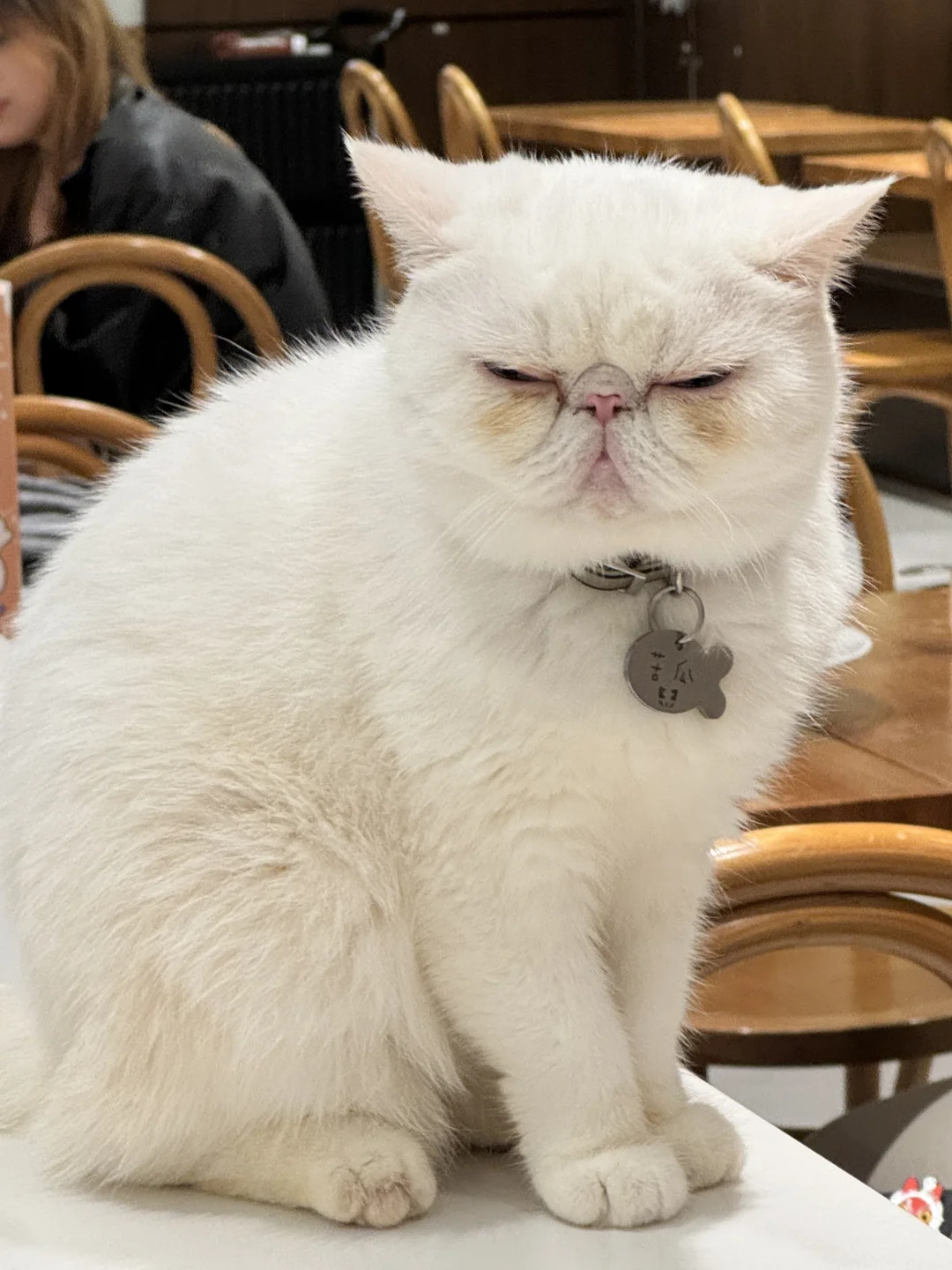 ??۲ޕrƽr؈cafe?óֺ