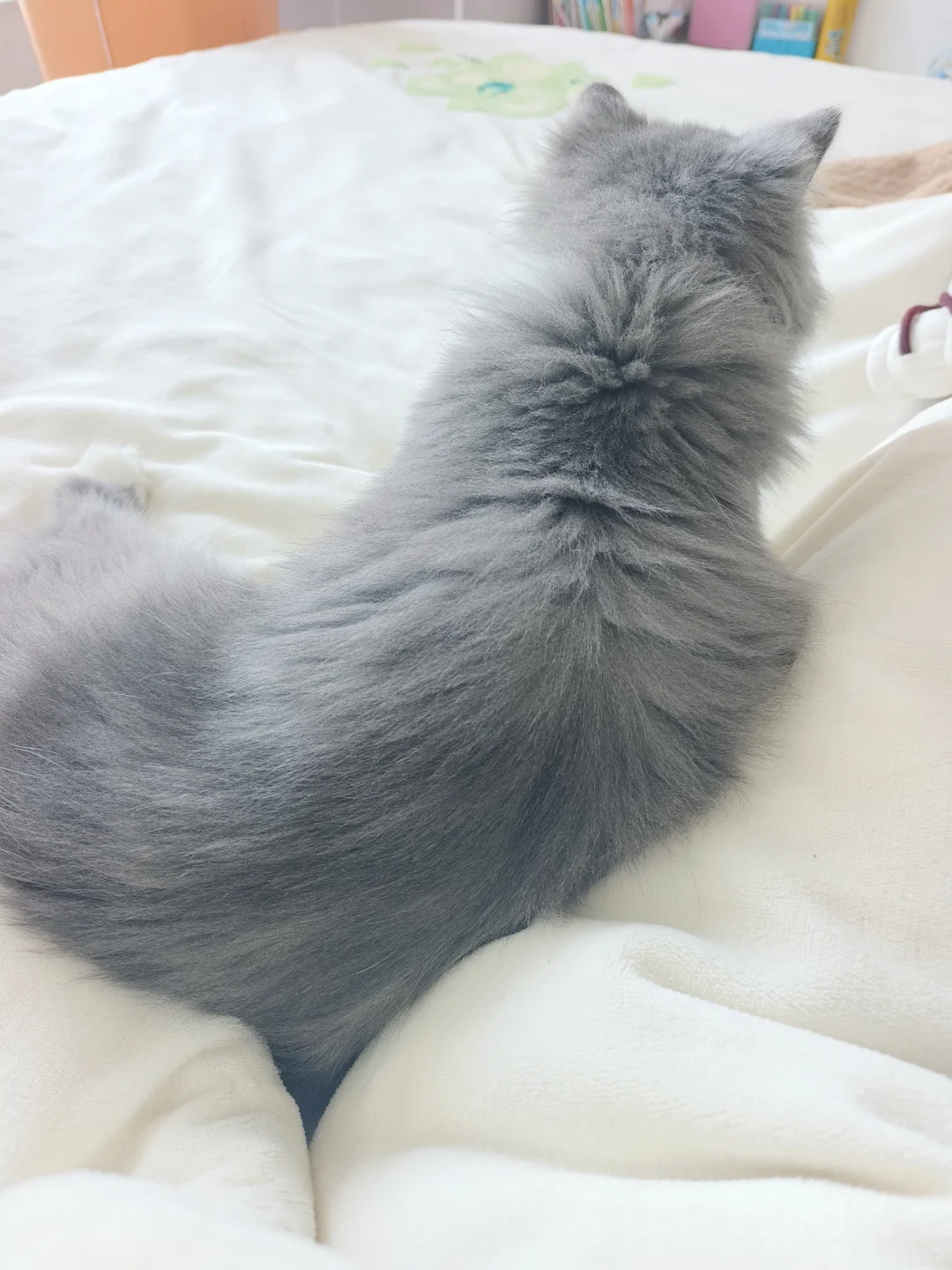 Ұ˿ôĳȥ