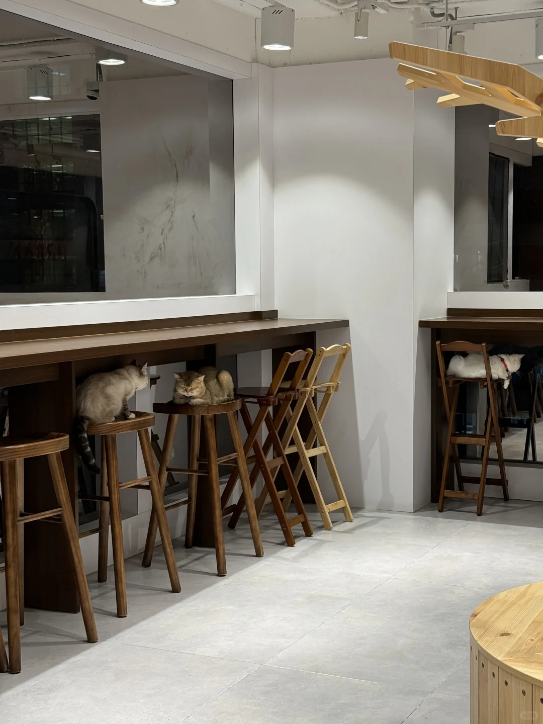 ??۲ޕrƽr؈cafe?óֺ