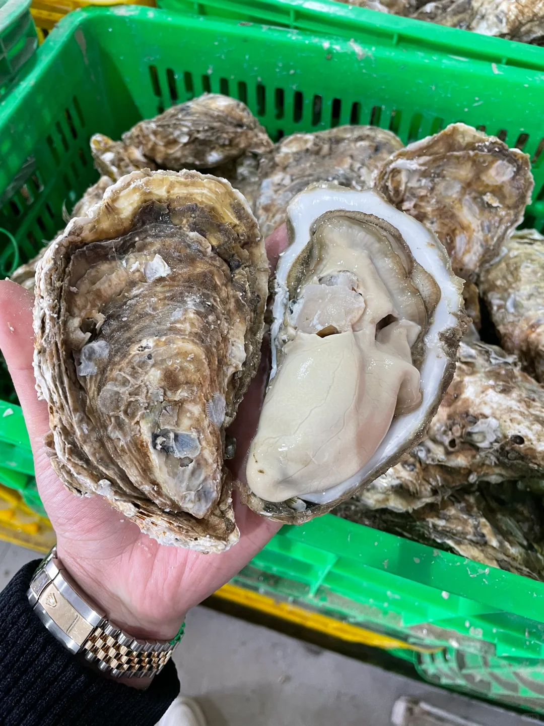 ôˡ