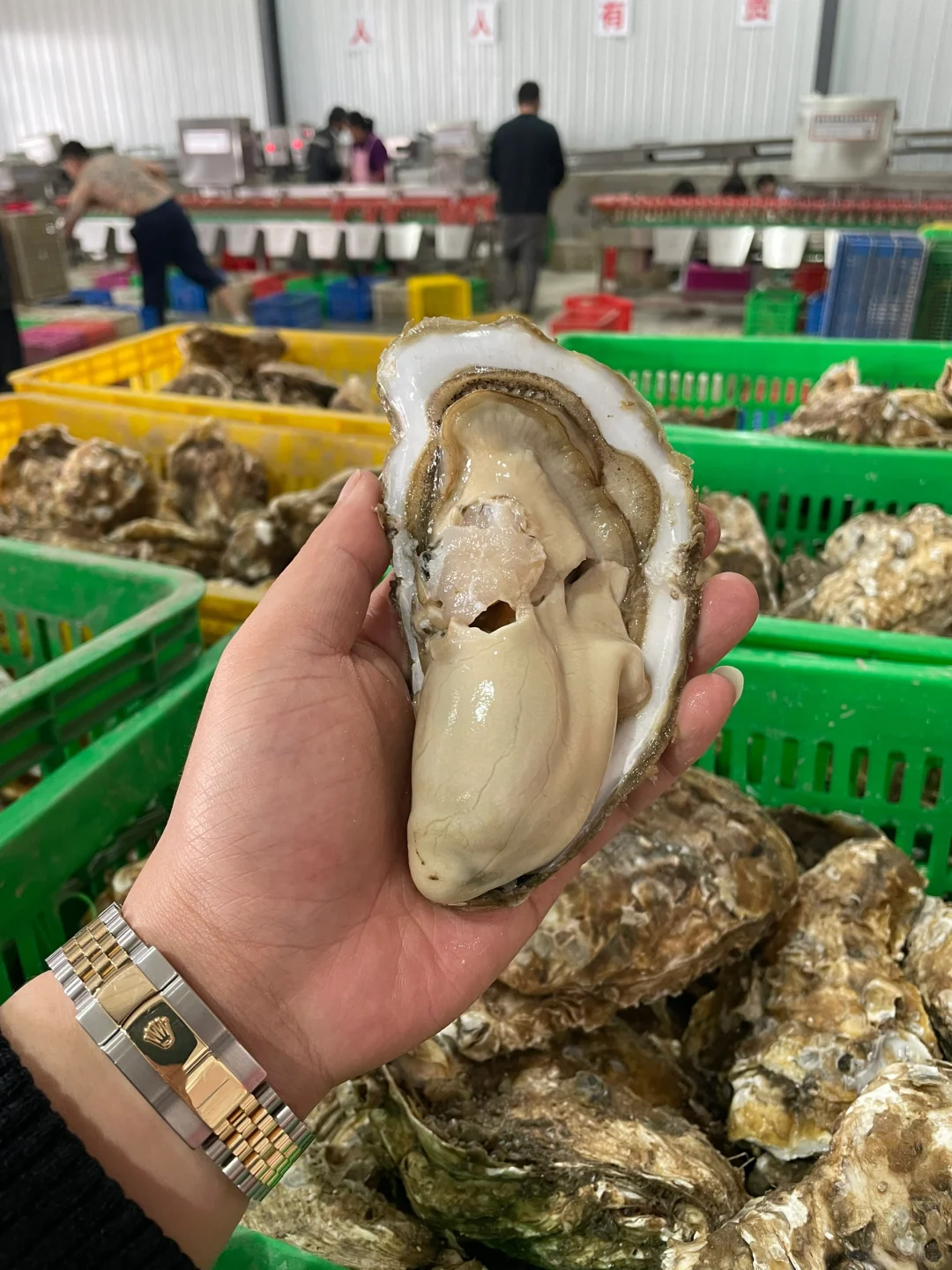 ôˡ