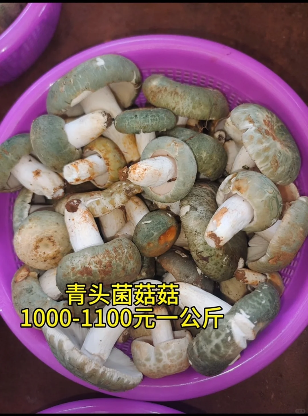 ˵ĿҪ