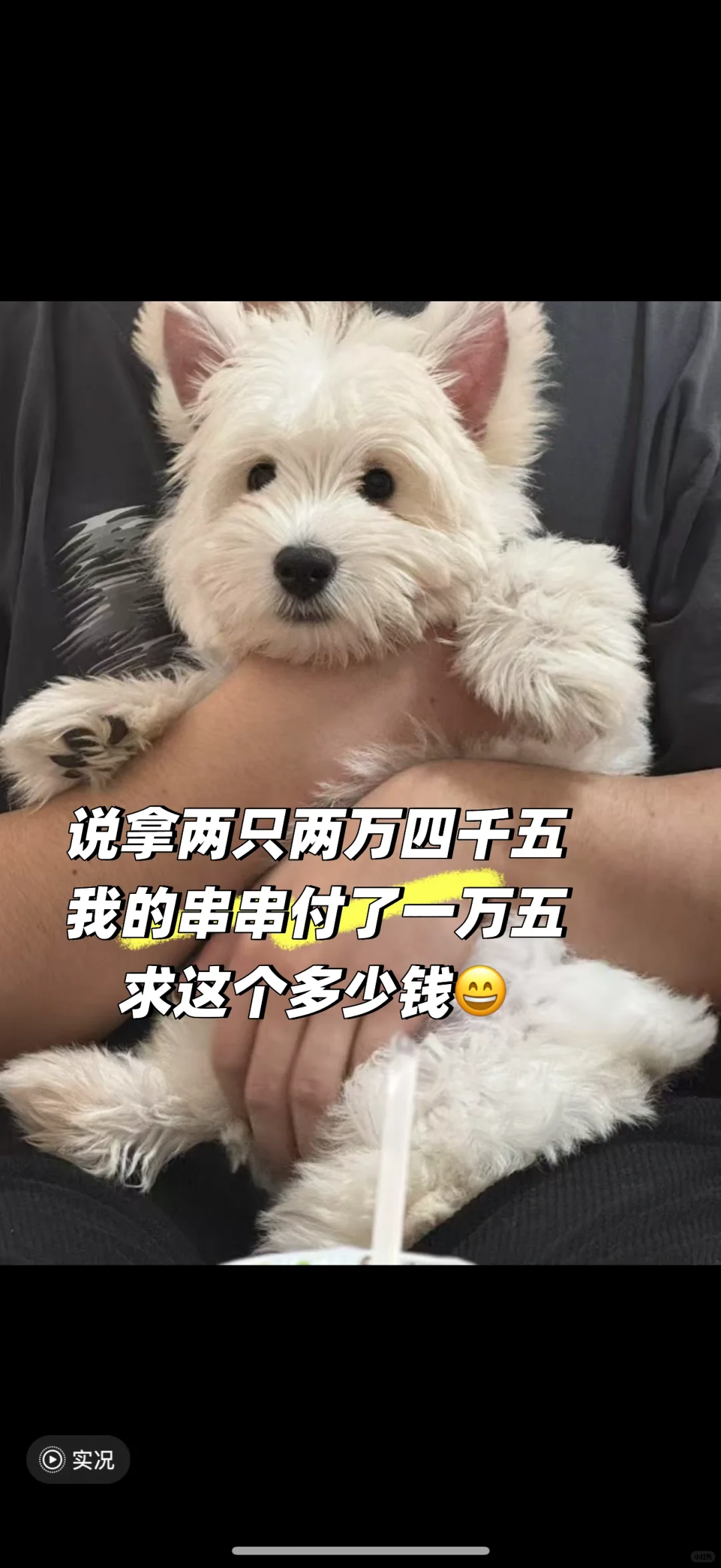 还我西高地 ??♀?还我一万五??♀?