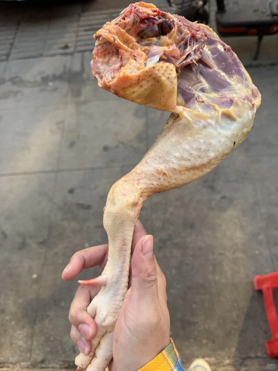 ʳıʼ