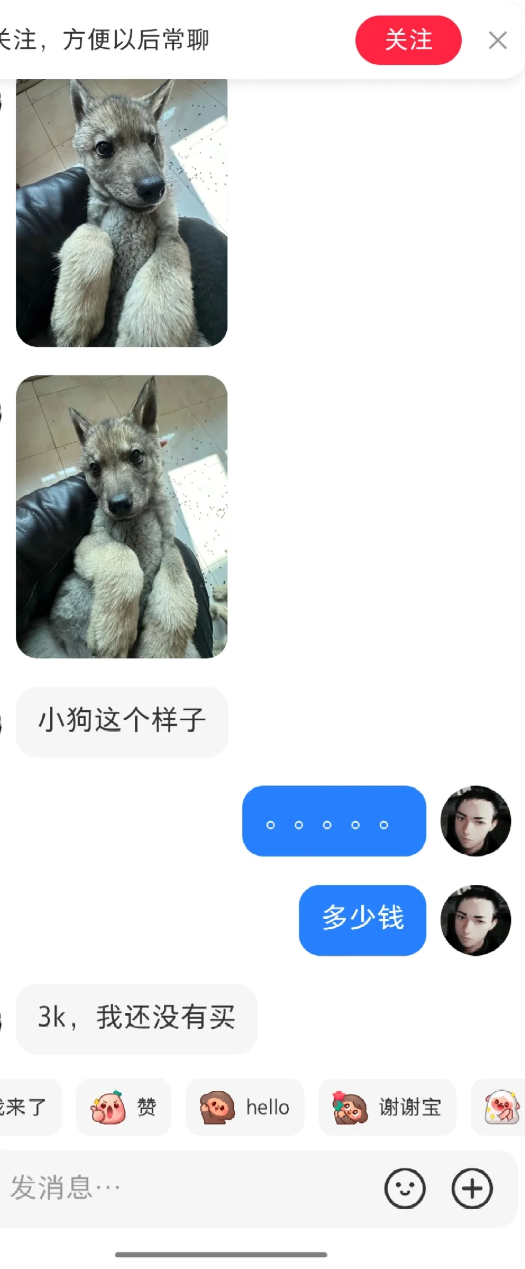 ݿȮ