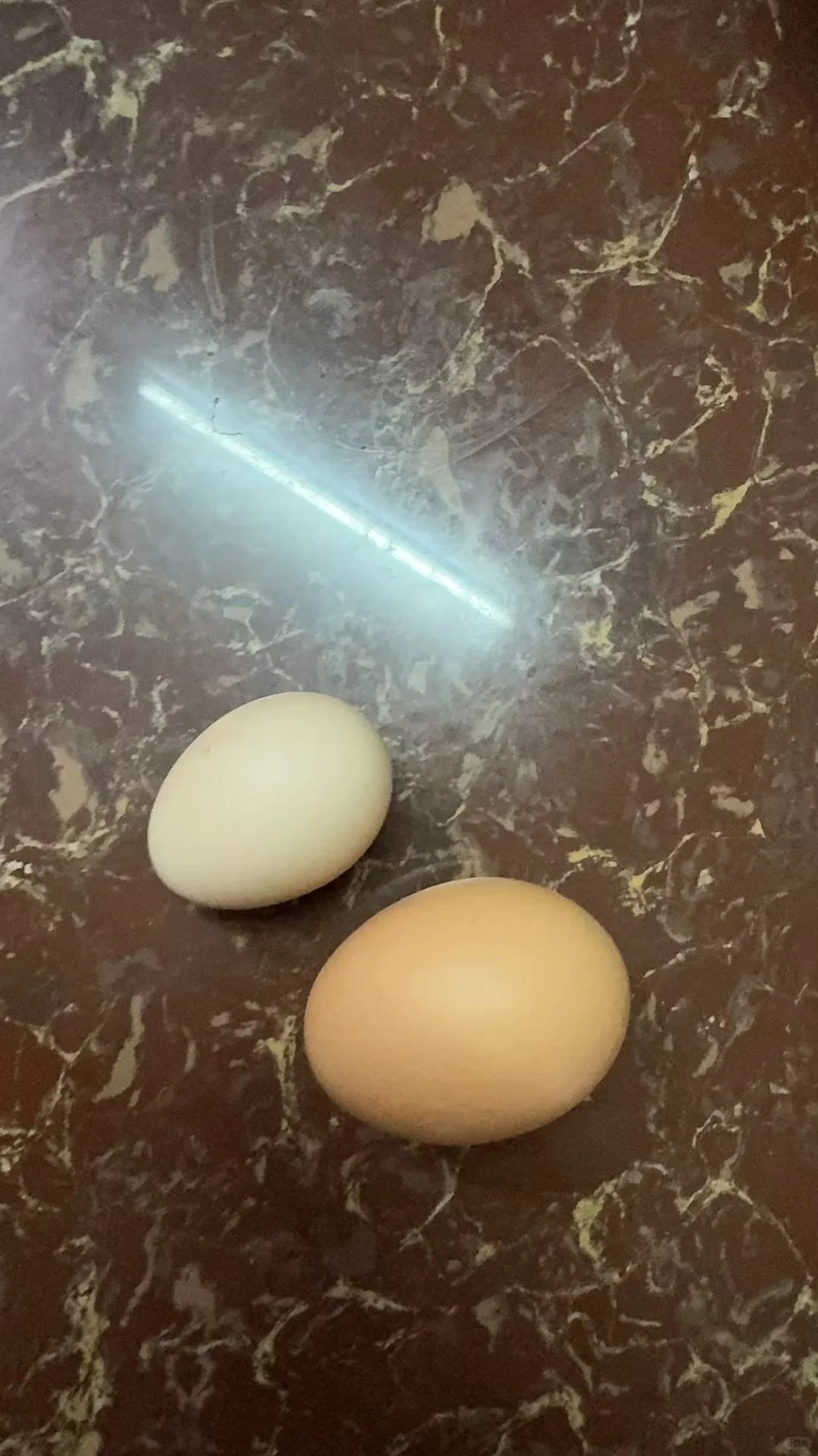 ?ĴȻũ