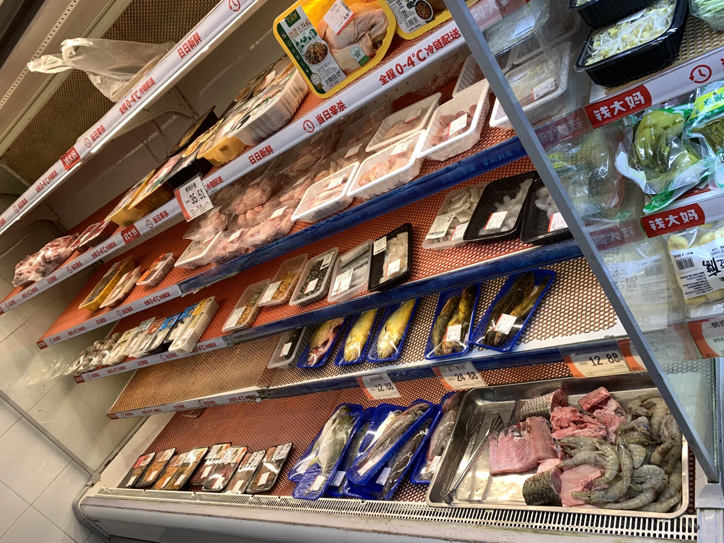 ǰôıʵ꣡