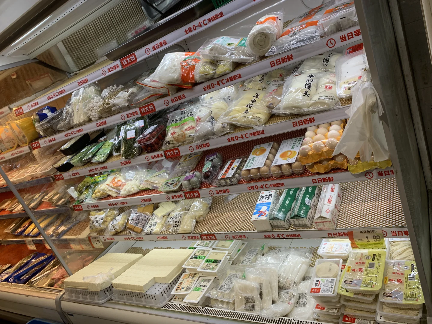 ǰôıʵ꣡