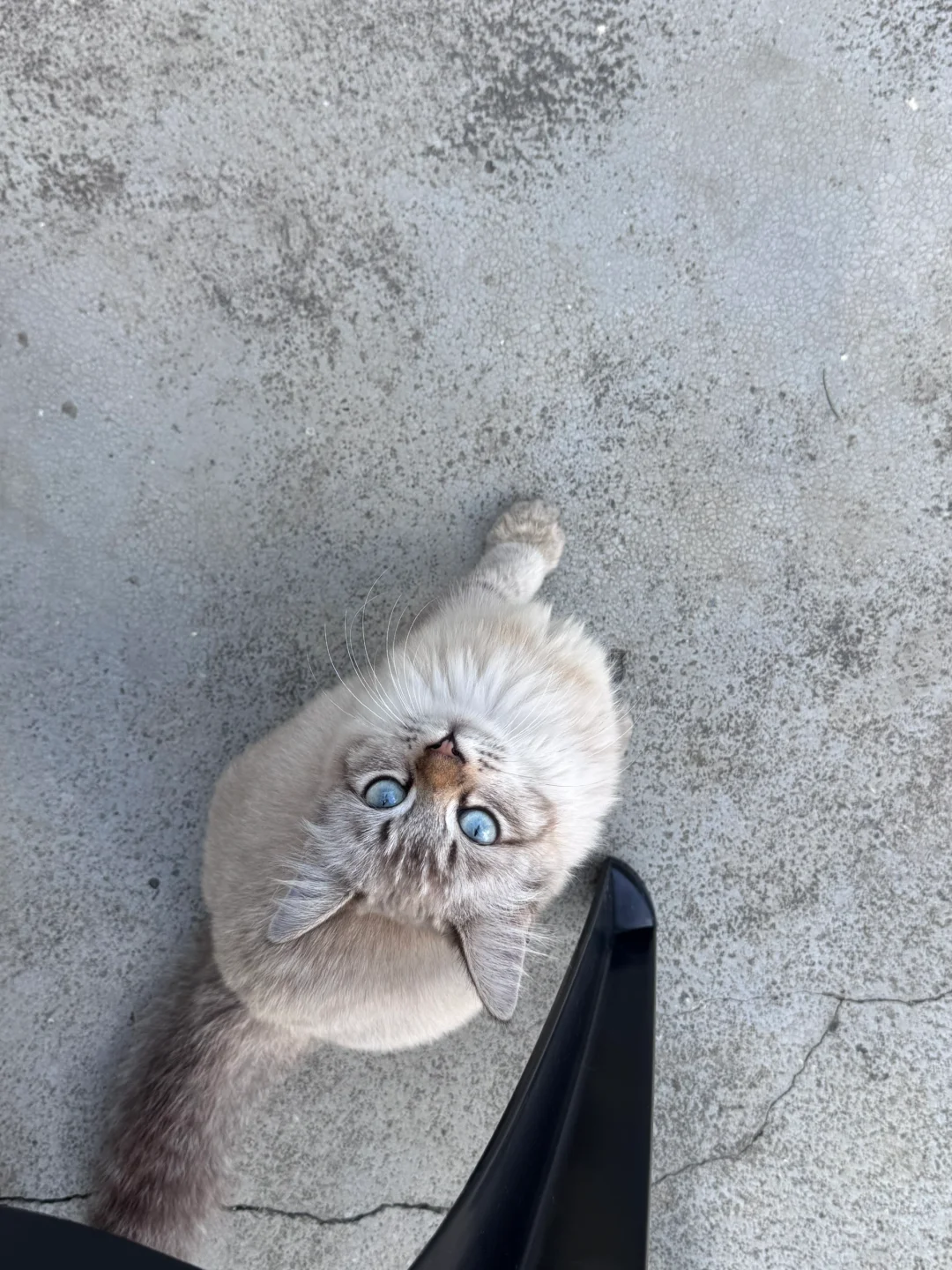 ??սΪʳʮ