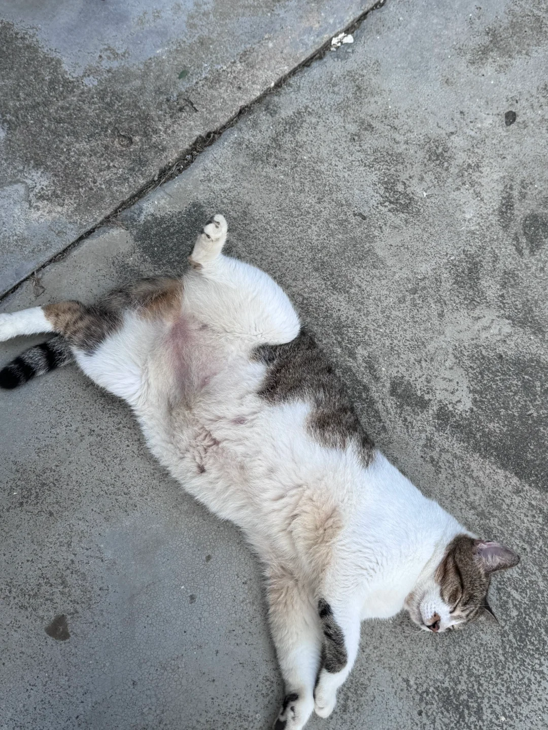 ??սΪʳʮ