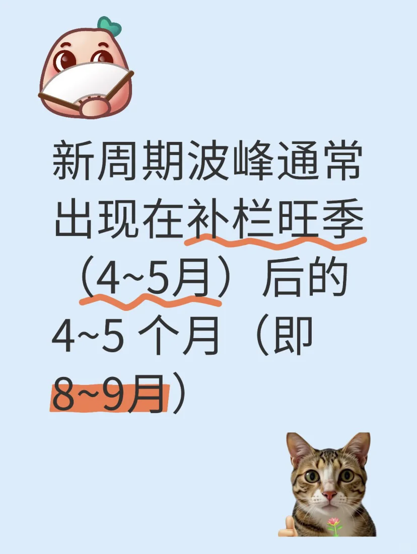 2505ճ⣡ڹ۵˼·