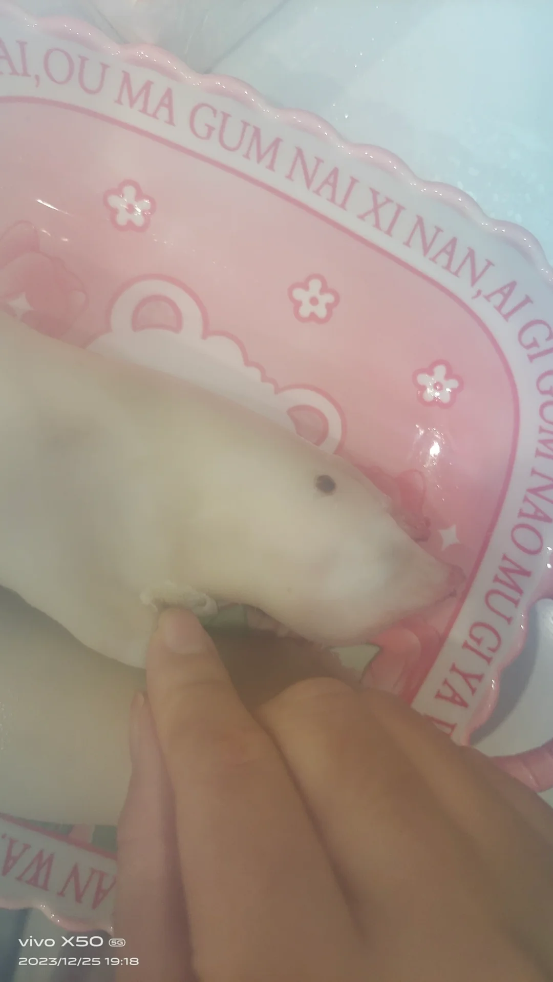 ̼˵ϵģһţ