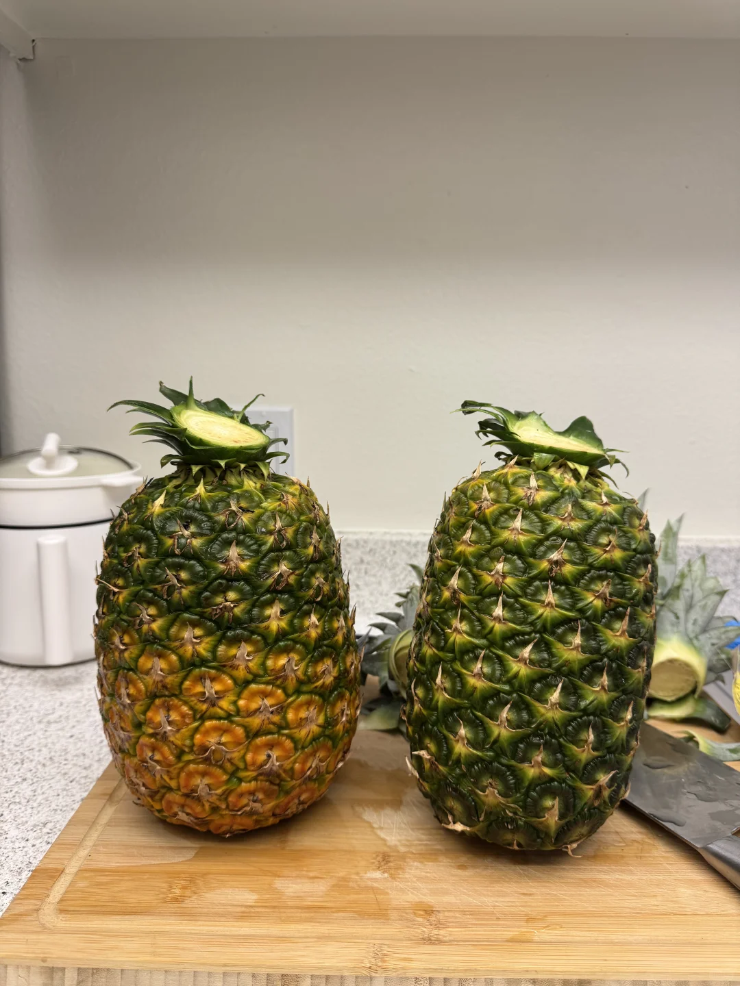 ˵Ǽ