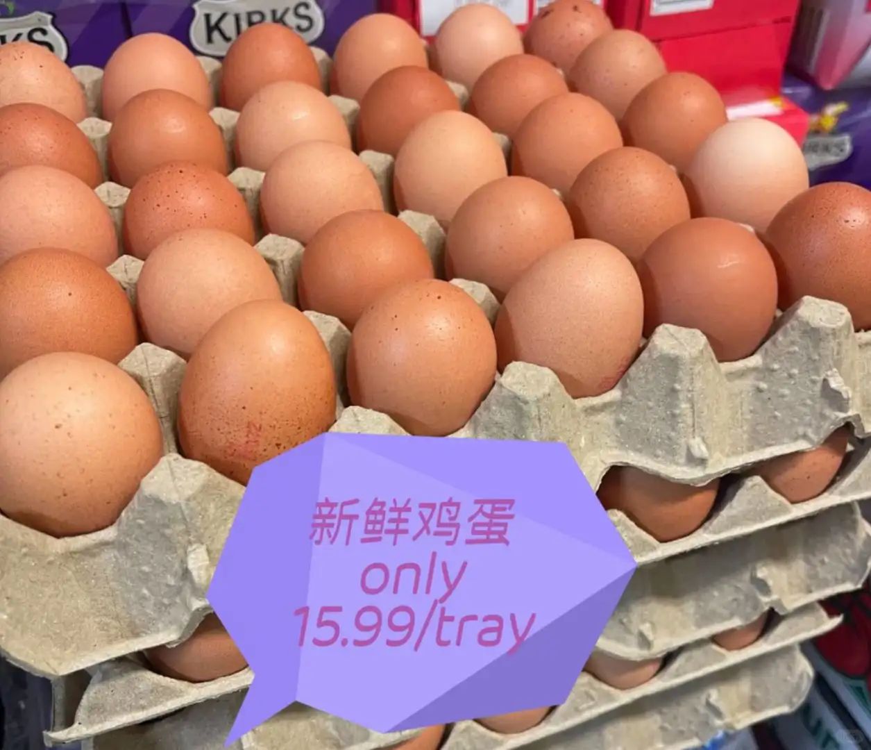 Ｆ۸㣡?ٳпҵר