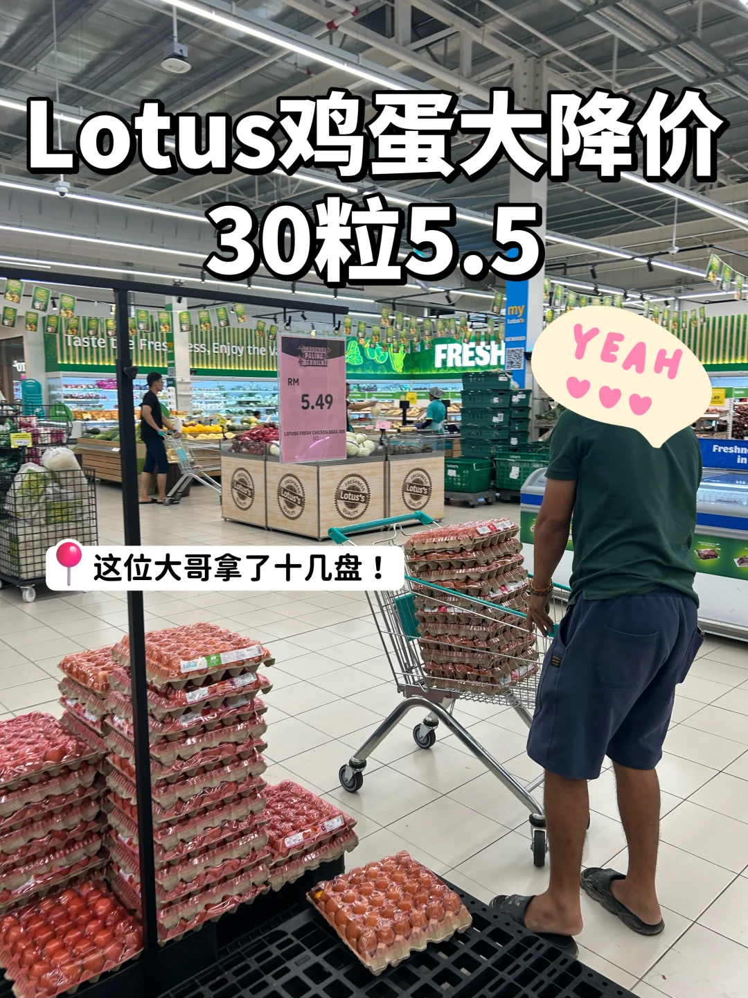 ??Lotus's RimbayuҲ̫̫̫