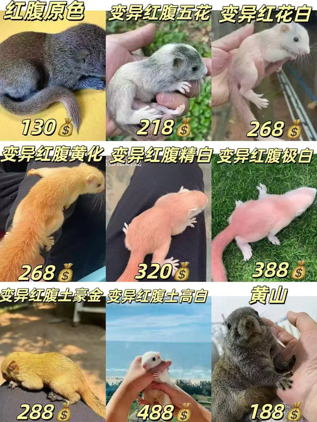 ۸