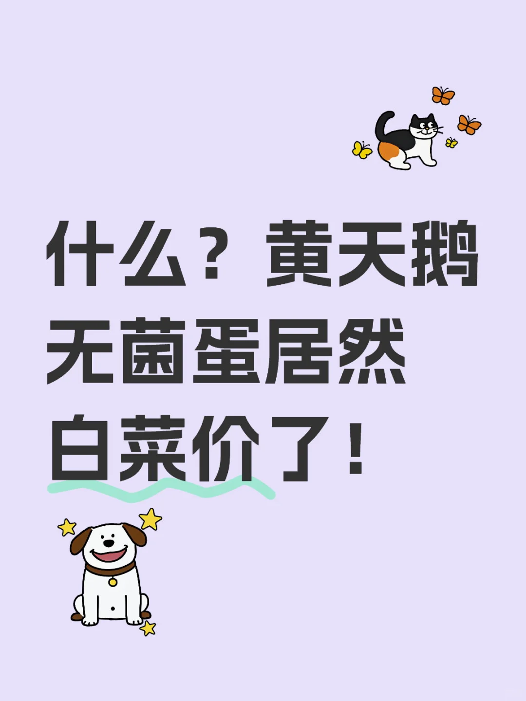 ޣ