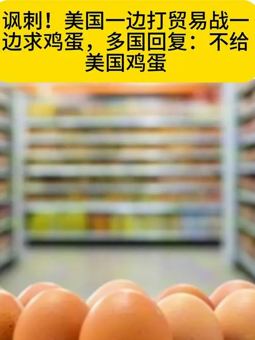 һߴóսһ󼦵