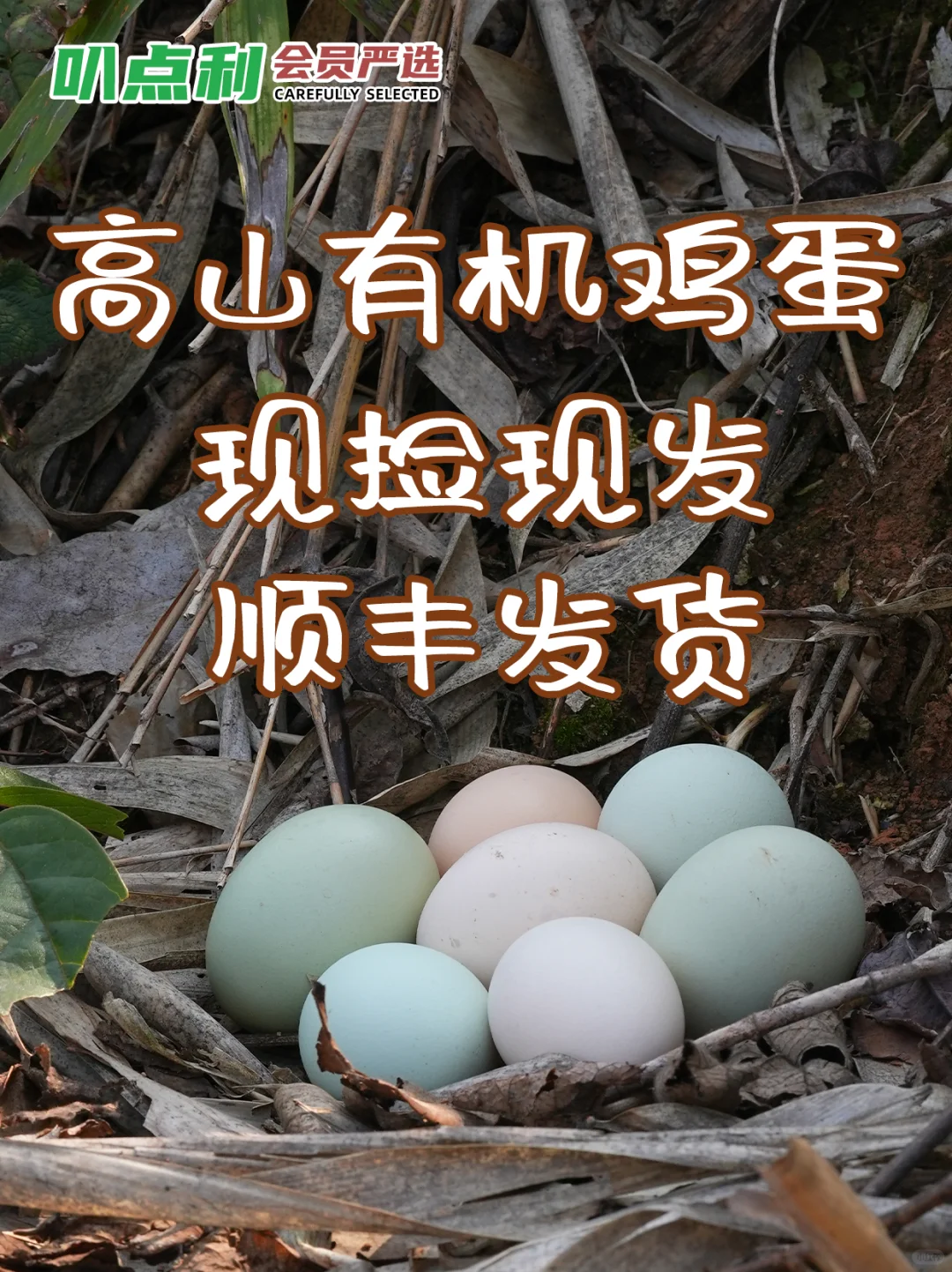 13һлͨļ۸лƷʣ