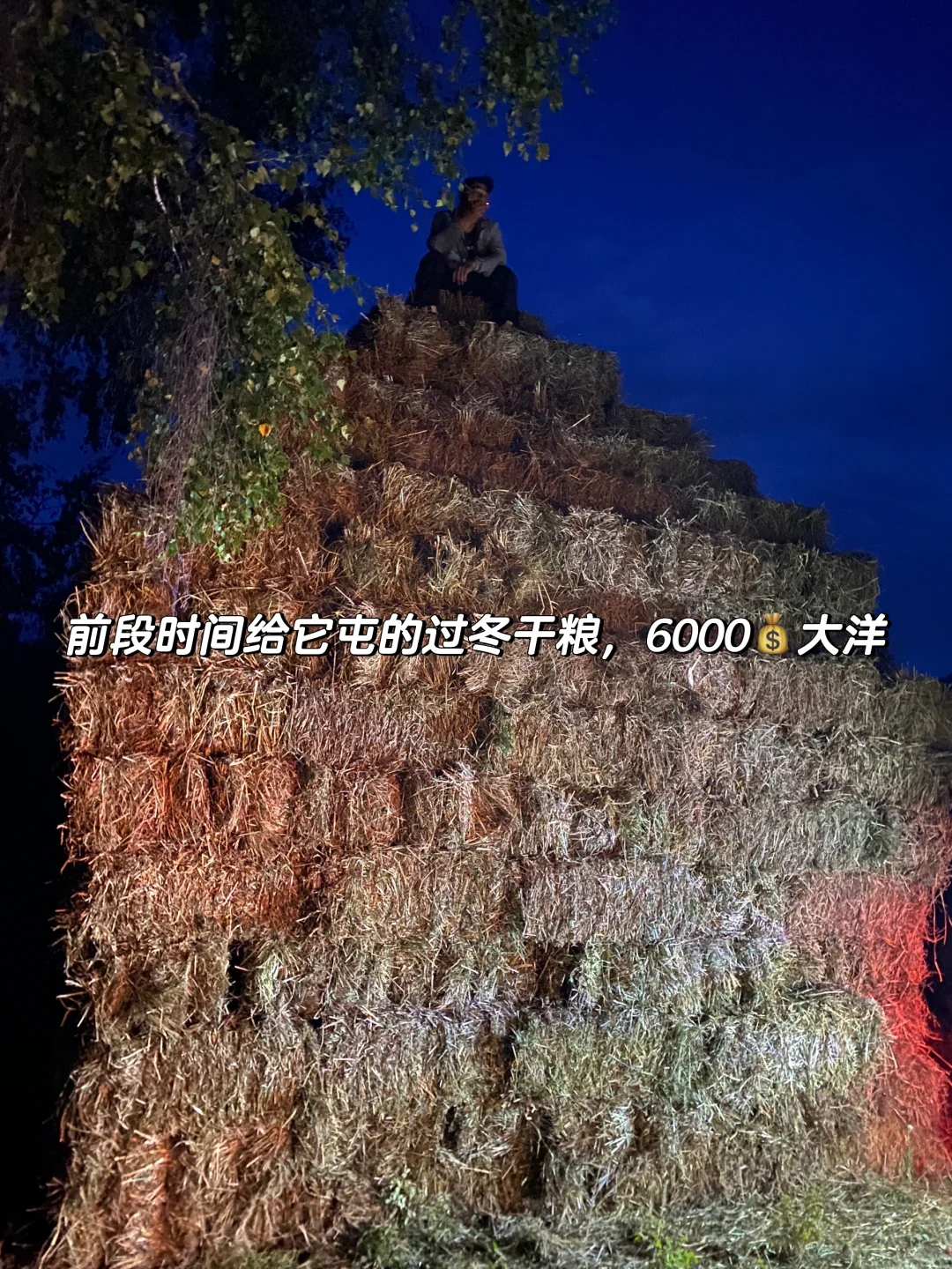 һ16000ҵˡ