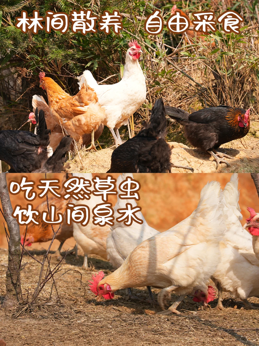 13һлͨļ۸лƷʣ