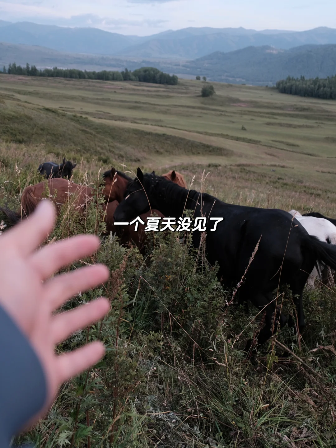 һ16000ҵˡ