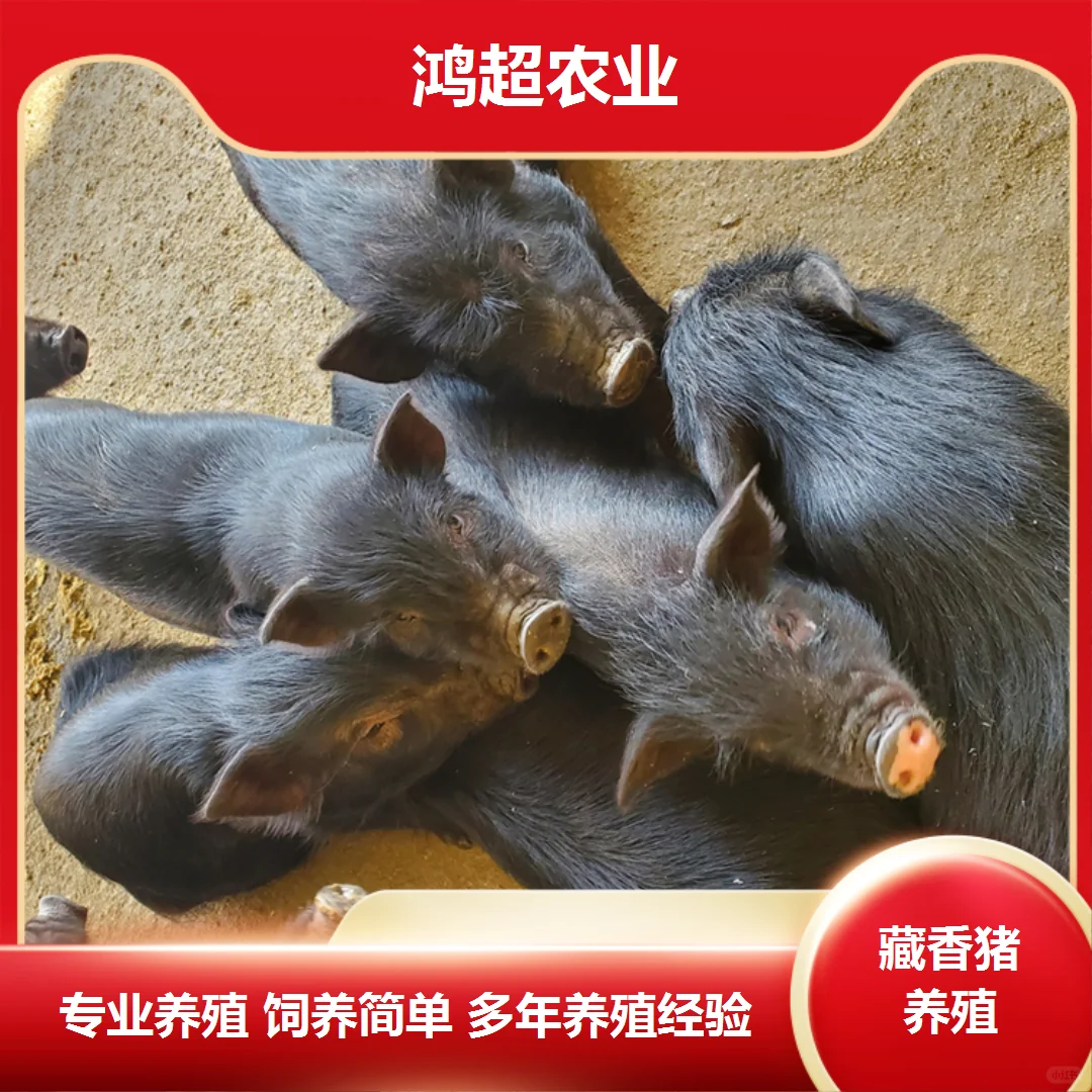 ۸