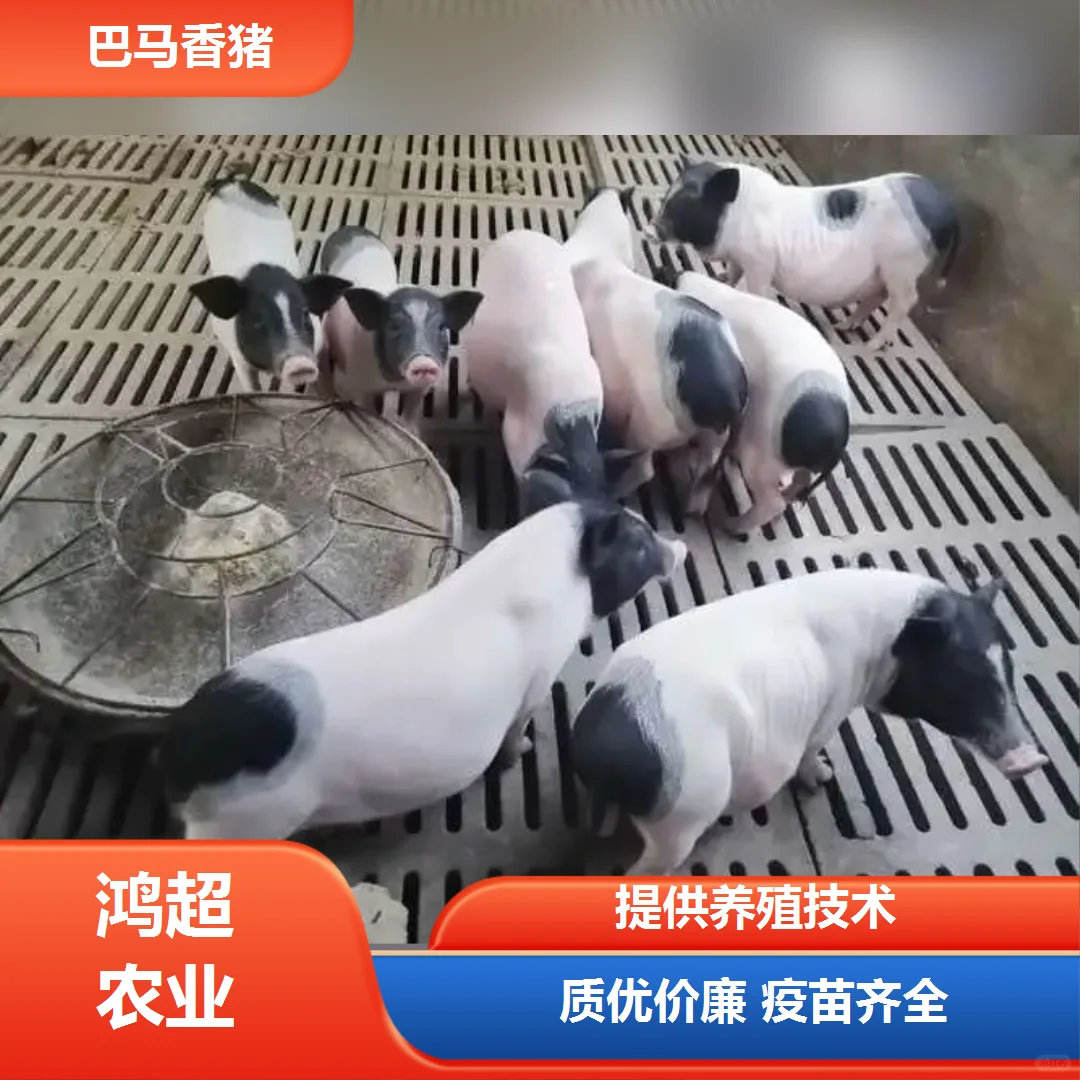 СǮһ۸񹫵