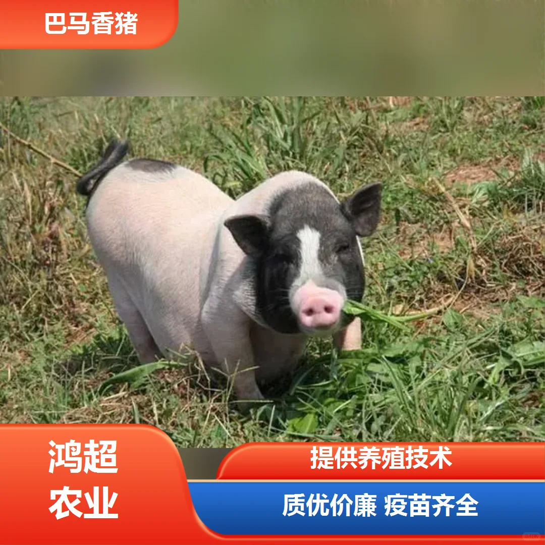 СǮһ۸񹫵
