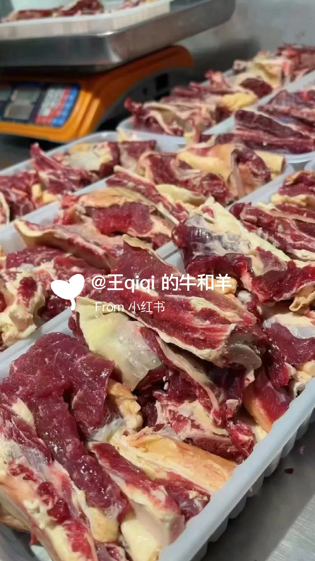 在重庆想吃内蒙牛羊找我奥