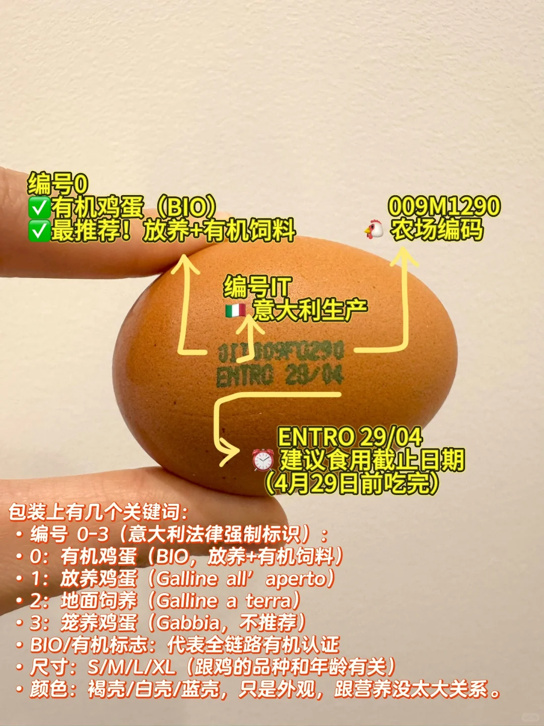 ??ȫŽ+Լ۱Ƽ