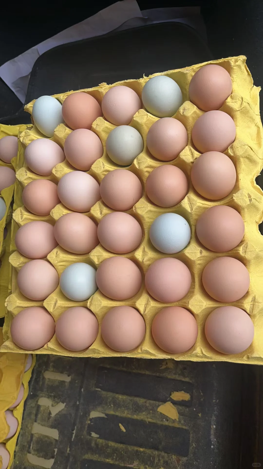 ڼֳ